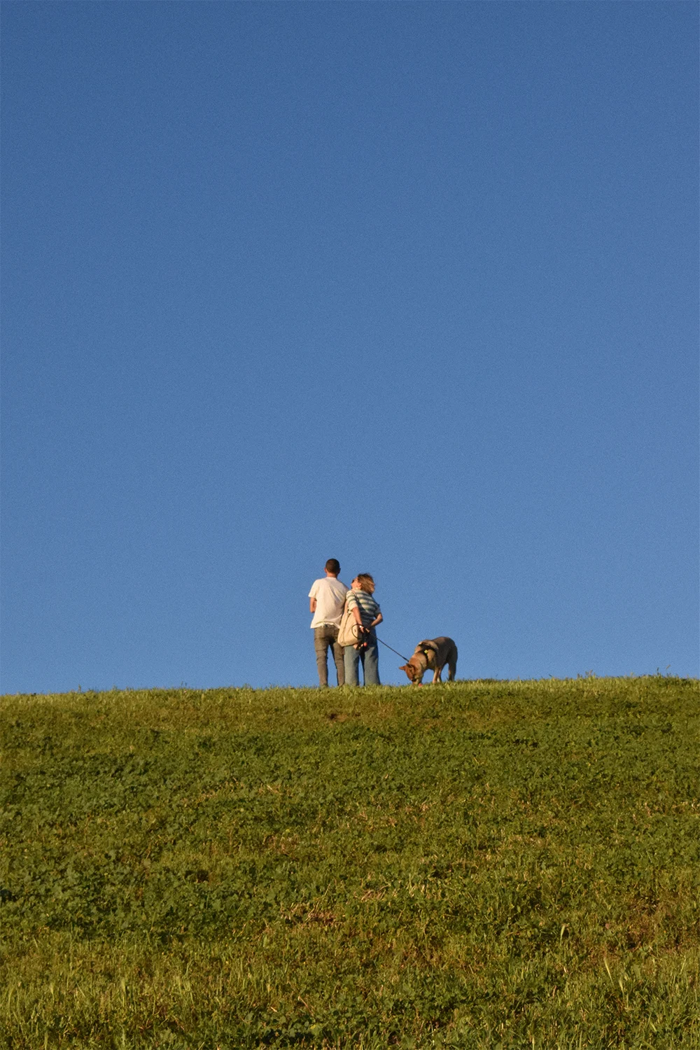 Pareja con perro en una colina